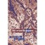 The Call and Response (Perspectives in Continental Phil - Paperback NEW Chretien