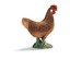 NEW Schleich - Hen Brown from Mr Toys
