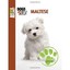 Maltese Drastura, Jenny