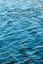 Blackbird and Wolf: Poems by Henri Cole (English) Paperback Book Free Shipping!