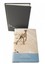 Disgrace: Limited Centenary edition by J. M. Coetzee.
