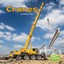 Cranes by Kathryn Clay (Paperback / softback, 2016)