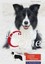 Franck, Rolf C.: Border Collie