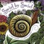 Swirl by Swirl by Joyce Sidman.