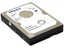 80GB IDE MAXTOR DiamondMax 6Y080L0 interne Festplatte NEU