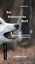 Der bretonische Wolf Sanni Aran