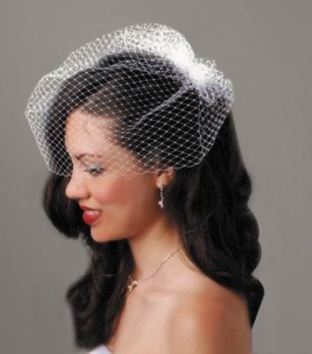 David Tutera Cream Birdcage Wedding Veil With Attached Comb 18 Picture 1 Of