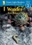 I Wonder (Green Light Readers: Level 2) by Tana Hoban.