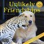 NEW Unlikely Friendships Mini Wall Calendar 2017 by Workman Publishing