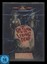 DVD THE RETURN OF THE LIVING DEAD - ZOMBIE-HORROR *** NEU ***