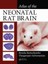 Atlas of the Neonatal Rat Brain by Renuka Ramachandra (English) Hardcover Book F