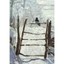 Monet Magpie Detail Holiday Half Notecards Monet, Claude (Contributor)