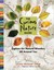 The Curious Nature Guide by Clare Walker Leslie (Paperback, 2015)