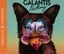 GALANTIS - NO MONEY(2-TRACK)