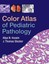 Color Atlas of Pediatric Pathology by Aliya N. Husain (English) Hardcover Book F