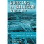 Working in Silicon Valley: Economic and Legal Analysis of a High-Velocity Labor