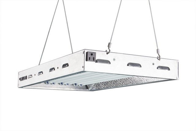 Durolux Dl8028 T5 Ho Grow Light Fluorescent 2 Ft 8 Lamps W 20000 Durolux Dl8028 T5 Ho Grow Light Fluorescent 2 Ft 8 Lamps W 20000 Lumen