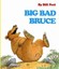 Big Bad Bruce by Bill Peet (Hardback, 1982)