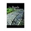 The Roads of the Romans by Romolo Augusto Staccioli (Hardback, 2003)