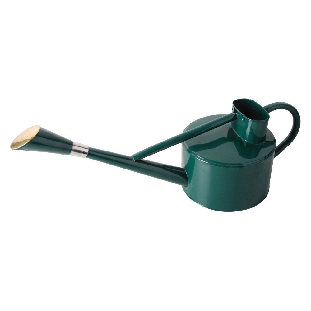 Esschert Design Tg171 Watering Can Long Spout Ebay Picture 1 Of