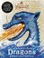 Incomplete Book of Dragons by Cressida Cowell (Paperback, 2016)