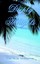 NEW Deeply Thoughts by Caraus Williams BOOK (Paperback) Free P&H