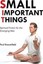 NEW Small Important Things : Spiritual Fiction for the Emerging Man