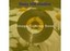 Millencolin -The Melancholy Connection New CD