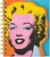 Andy Warhol Marilyn Layered Journal (2013, Book NEW)
