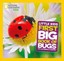 First Big Book of Bugs by Catherine D. Hughes.