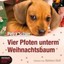 Schier, Petra: Vier Pfoten unterm Weihnachtsbaum, Audio-CD