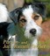 Jantz, Christiane: Parson- und Jack Russel Terrier, Buch