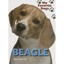 Beagle Johnson, Jinny