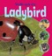 The Life Cycle of a Ladybird by Ruth Thomson (Paperback, 2012)