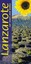 Lanzarote: Car Tours and Walks (Landscapes) NEU Taschen Buch Noel Rochford