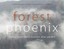 Forest Phoenix: How a Great Forest Recovers After Wildfire.