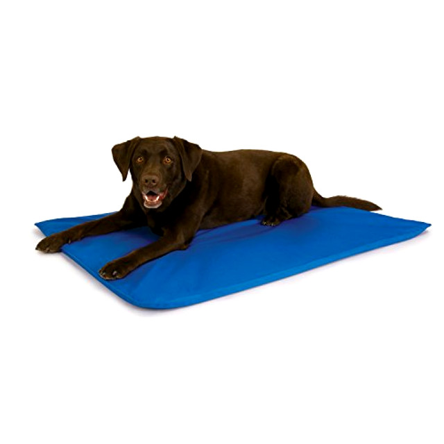 Cooling Dog Bed Cool Water Summer Pet Cushion Outdoor Indoor Large ... Cooling Dog Bed Cool Water Summer Pet Cushion Outdoor Indoor Large ...