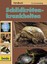 Lutz Sassenburg Handbuch Schildkrötenkrankheiten