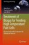 Treatment of Biogas for Feeding High Temperature Fuel Cells: Removal of...