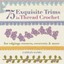 75 Exquisite Trims in Thread Crochet: For Edgings, Corners, Crescents, & More.