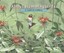 About Hummingbirds (About... (Peachtree)) by Cathryn P Sill.