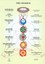 Chakras.