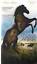 Touching Wild Horses (DVD, 2006), Brand new, free shipping