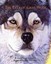 The Eyes of Gray Wolf by Jonathan London.