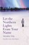 Let the Northern Lights Erase Your Name by Vendela Vida (Paperback, 2007)