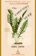 The Gardener's Year by Karel Capek (Paperback, 2002)