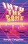 Into the Game by Gertjan Zwiggelaar (English) Paperback Book Free Shipping!