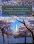 George Washington's Monumental Presidential Trivia Challenge Mor by Ozanne Jonat