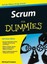 Scrum für Dummies von Michael Franken (Buch) NEU