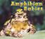 Amphibian Babies (Animal Babies) - Hardcover NEW Catherine Veitc 2013-06-06